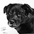 bagheera8583