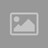 Felipe_Zambrano_Nune